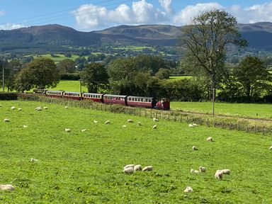 A green field with sheep and a small train moving along tracks with trees and hills in the background at Bwthyn Fed'wr Gog Maerdy near Bala