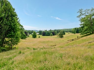 A field with trees and a distant house at Dove Cottage at the Graythwaite Estate Graythwaite Estate near Hawkshead