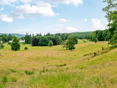 A field with trees and blue sky at Dove Cottage at the Graythwaite Estate near Hawkshead