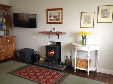 A living room with a wood stove fireplace a wall-mounted television wooden cabinet a red rug and a white side table with yellow flowers at Quarterdeck in Bigbury-on-Sea near Modbury