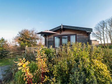 A wooden lodge with a patio umbrella surrounded by plants and trees at Hawthorne Lodge in Liverton near Danby