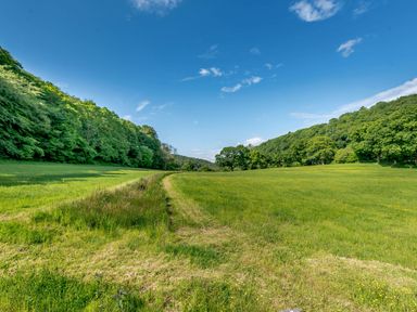 A grassy field with a dirt path between two wooded hills under a blue sky at Cwmdu Cottage in Cwm-Cou near Newcastle Emlyn