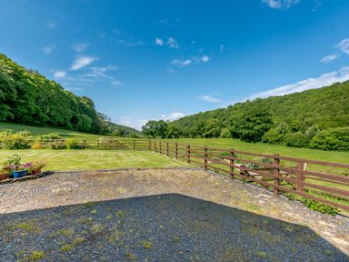 A fenced grass yard with potted plants and a gravel area surrounded by trees at Cwmdu Cottage in Cwm-Cou near Newcastle Emlyn
