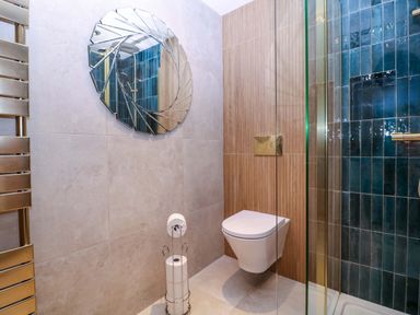 A bathroom with a shower and toilet at The Lodge, Lower Trefedw Pandy near Abergavenny