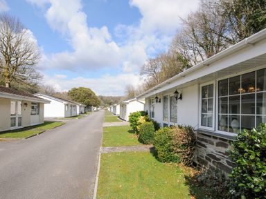 A row of single-story white houses along a paved road with grass and bushes at No 1 The Heathers Rosecraddoc Lodge near Liskeard