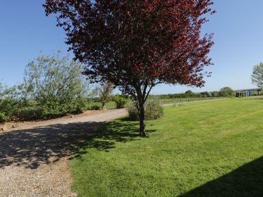 A garden area with a tree with red leaves beside a gravel path and green grass at Goathland Cottage in Ruswarp near Whitby