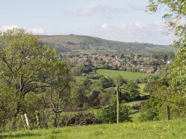 A rural landscape with trees and a village in the distance at Goathland Cottage in Ruswarp near Whitby