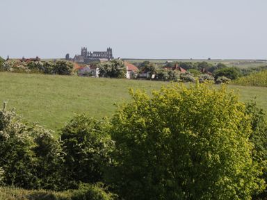 A rural landscape with green fields trees a row of houses and a large ruined abbey in the distance at Goathland Cottage in Ruswarp near Whitby