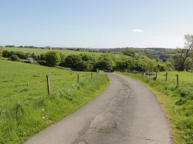 A paved country road with wire fences on both sides surrounded by green fields and trees at Goathland Cottage Ruswarp near Whitby