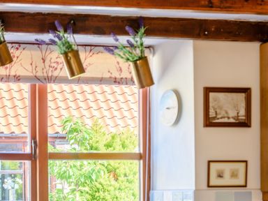 A window with plants outside and hanging pots with lavender flowers above at Goathland Cottage in Ruswarp near Whitby
