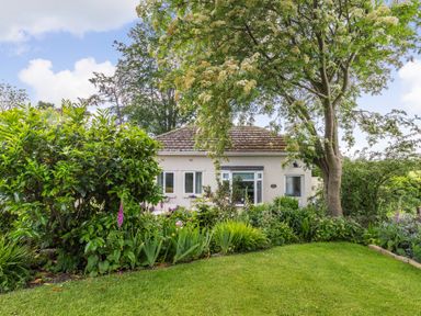 A small house surrounded by garden plants and a large tree at Bracken Barn Cottage in Widdrington near Amble