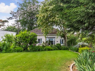 A garden with a lawn trees and bushes in front of a single story house at Bracken Barn Cottage Widdrington near Amble