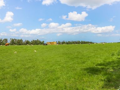 A green field with sheep cows and stacks of hay in the distance near trees at Bracken Barn Cottage in Widdrington near Amble