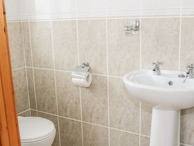 A bathroom with a toilet a sink and a toilet paper holder at McGuire's Cottage Barnatra County Mayo
