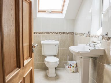 A bathroom with a toilet a sink a colorful trash bin and a skylight window at McGuire's Cottage Barnatra County Mayo