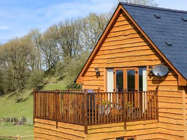 A wooden cabin with a balcony and railing in a grassy area with trees at Brynhir Farm in Howey near Llandrindod Wells