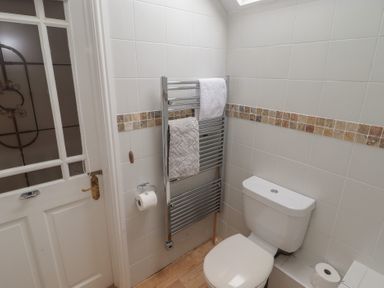 A bathroom with a towel warmer and toilet at Garth Cottage in Haverfordwest
