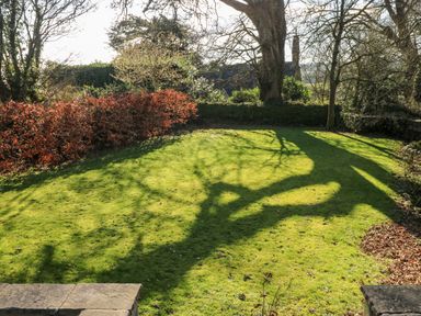 A garden with green grass and trees casting shadows at Llety'r Llwynog in Llanfallteg near Narberth