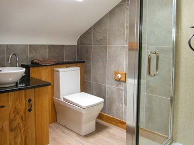 A bathroom with a toilet sink with wooden cabinets and a glass shower enclosure at Tyn Y Celyn Uchaf in Clocaenog near Ruthin