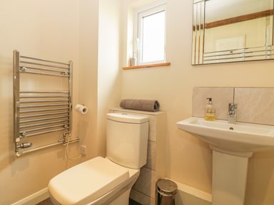 A bathroom with a toilet a heated towel rail a pedestal sink with soap and a mirror at Higher Whiddon Farm Whiddon Well Ashburton near Newton Abbot
