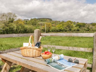 A wooden picnic table with a wicker basket holding a bottle of champagne a bowl of strawberries two empty glasses a magazine and sunglasses in a grassy fenced field at Higher Whiddon Farm Whiddon Well Ashburton near Newton Abbot