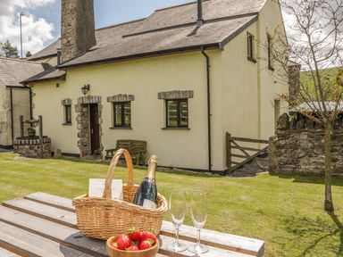A picnic table with a basket containing a bottle and two glasses in the garden of a cottage at Higher Whiddon Farm Whiddon Well Ashburton near Newton Abbot