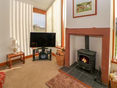 A corner living room with a lit wood stove fireplace a TV on a stand a side table with a lamp and a basket of firewood at Swift Cottage in Milton near Brampton