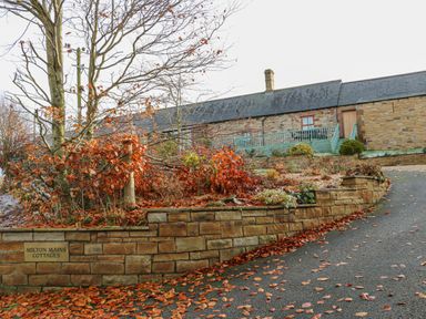 A stone cottage with a sloped roof and a raised garden bed with orange leaves at Milton Mains Cottages in Milton near Brampton