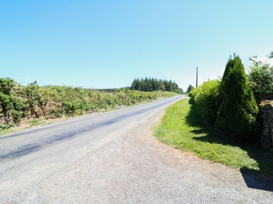A country road with grass and bushes on either side at Clash-Brack in Dungarvan County Waterford