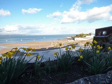 A beach with boats on water daffodils in foreground and buildings on a hill at White Cottage Annexe in Tenby