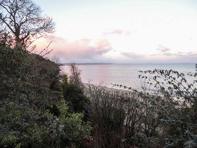 A coastal view with trees and bushes overlooking a beach and sea at White Cottage Annexe in Tenby