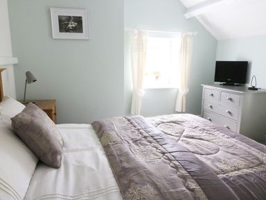 A bedroom with a double bed a nightstand with a lamp a window with curtains and a dresser with a television at Penglanowen Fawr Llangwyryfon near Aberystwyth