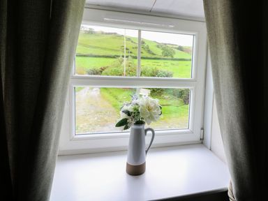 A window with beige curtains and a vase of white flowers on the sill overlooking green fields at Penglanowen Fawr in Llangwyryfon near Aberystwyth
