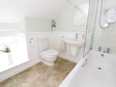 A bathroom with a toilet sink bathtub and a window with a flower pot at Penglanowen Fawr in Llangwyryfon near Aberystwyth