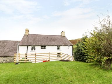 A white cottage with a slate roof and wooden fence on a grass lawn with bushes at Penglanowen Fawr in Llangwyryfon near Aberystwyth