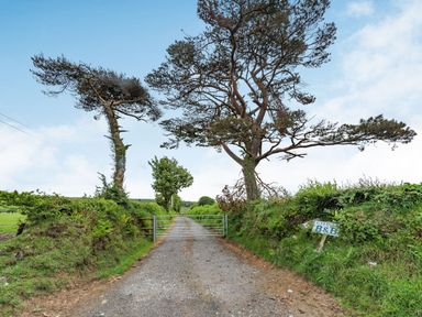 A gravel driveway with a metal gate between two large trees and a B&B sign on the grass at Cilwen Fach in Cynwyl Elfed