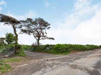 A country dirt road with a metal gate and two trees near a grass embankment at Cilwen Fach in Cynwyl Elfed