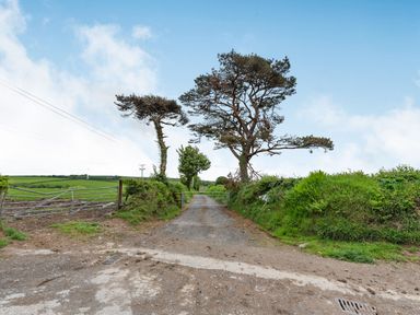 A dirt and gravel road with a metal gate and trees on either side at Cilwen Fach in Cynwyl Elfed