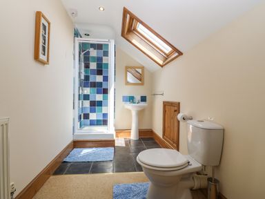 A bathroom with a toilet sink shower and a skylight at Fferam Y Llyn Rhosgoch near Cemaes Bay