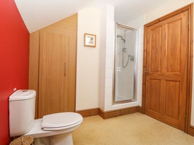 A bathroom with a toilet a shower enclosure a wooden door and a wooden cabinet at Fferam Y Llyn in Rhosgoch near Cemaes Bay