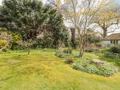 A garden with grass, trees, shrubs, and a birdbath at West Ridge in Boscombe