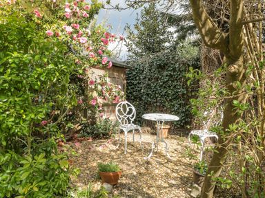 A garden area with white metal table and chairs surrounded by plants and a wooden shed at West Ridge in Boscombe