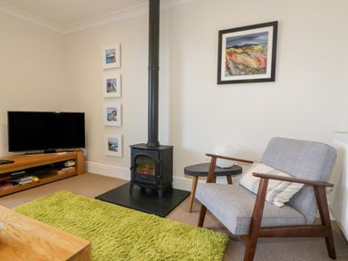 A living room with a wood burning stove a tv on a wooden stand a gray armchair a green rug and wall art at Tremanners in St Agnes