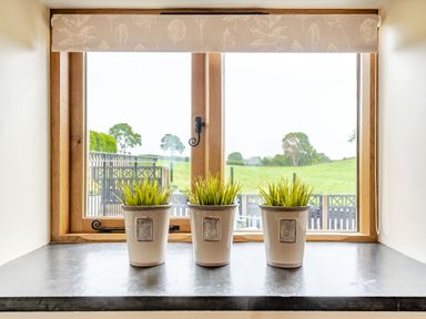 A window with three potted plants on a windowsill overlooking a green field