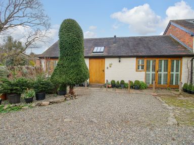 A gravel driveway with potted plants and a pruned tree in front of a white brick building with wooden door and windows at The Milking Parlour in Yarpole near Leominster
