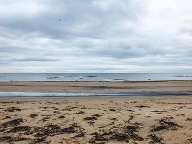 A sandy beach with seaweed scattered on the sand and the ocean under a cloudy sky at Sandy Knowes in Low Hauxley near Amble