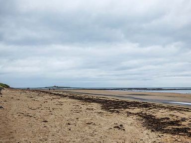 A sandy beach with scattered seaweed and a cloudy sky at Sandy Knowes in Low Hauxley near Amble