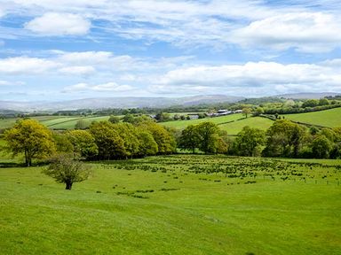A green landscape with fields trees and hills under a partly cloudy sky at Black Mountain View in Llanafan Fawr near Builth Wells