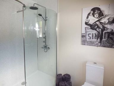 A bathroom with a glass shower enclosure a toilet four rolled towels and a monkey reading a newspaper wall art at Black Mountain View in Llanafan Fawr near Builth Wells