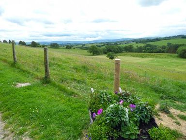A fenced grassy field with rolling hills and flowers near the fence at Black Mountain View in Llanafan Fawr near Builth Wells